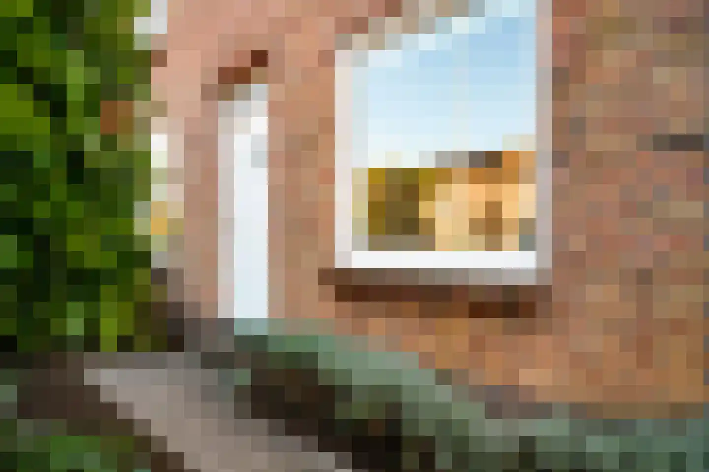 Doolgaardstraat 16 Horst thumbnail 14