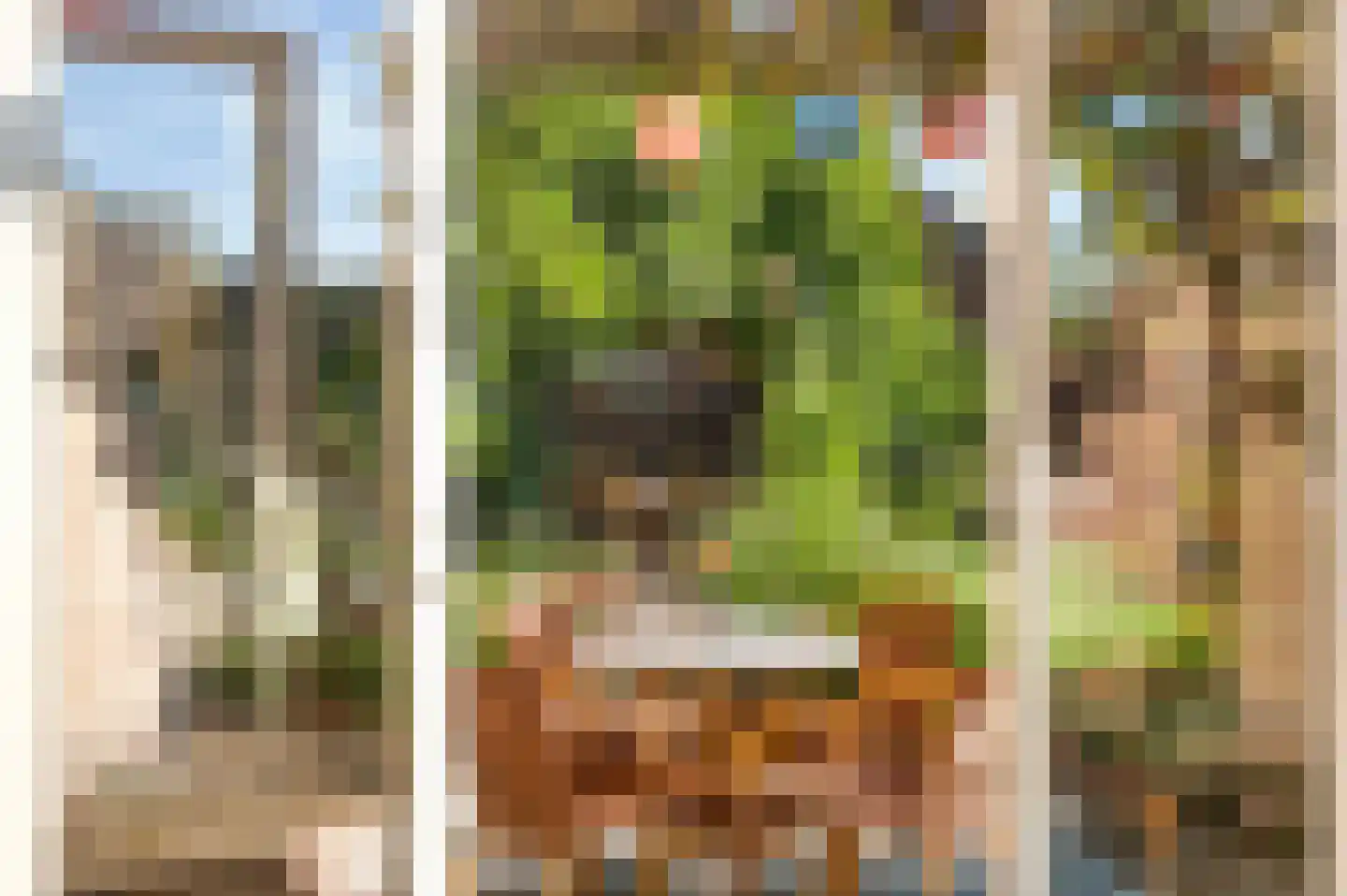 Doolgaardstraat 16 Horst thumbnail 20