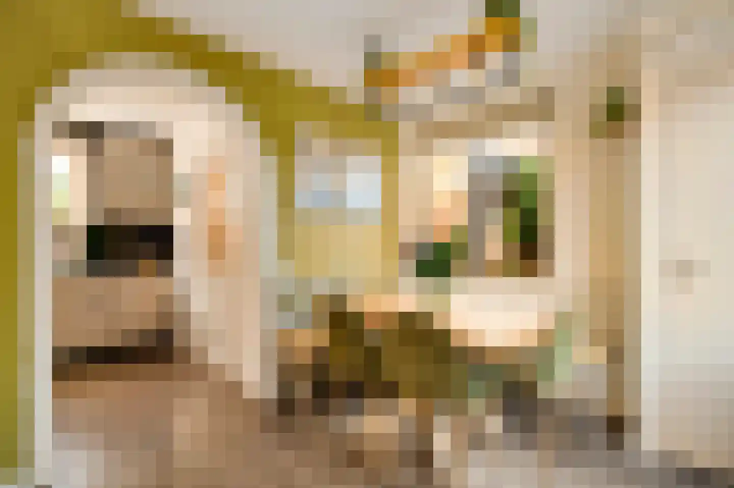 Doolgaardstraat 16 Horst thumbnail 25