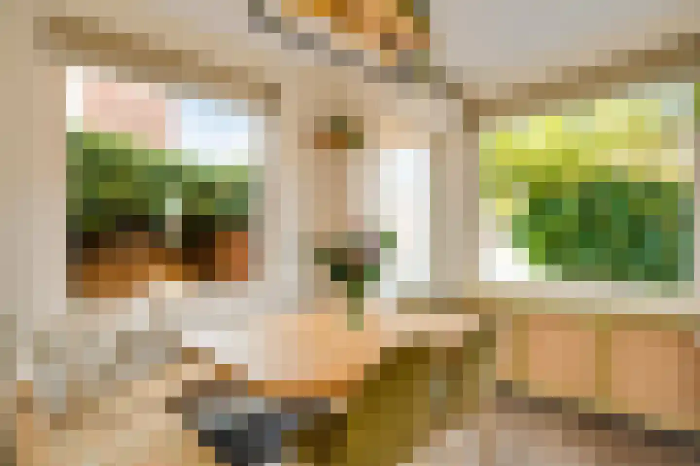 Doolgaardstraat 16 Horst thumbnail 27