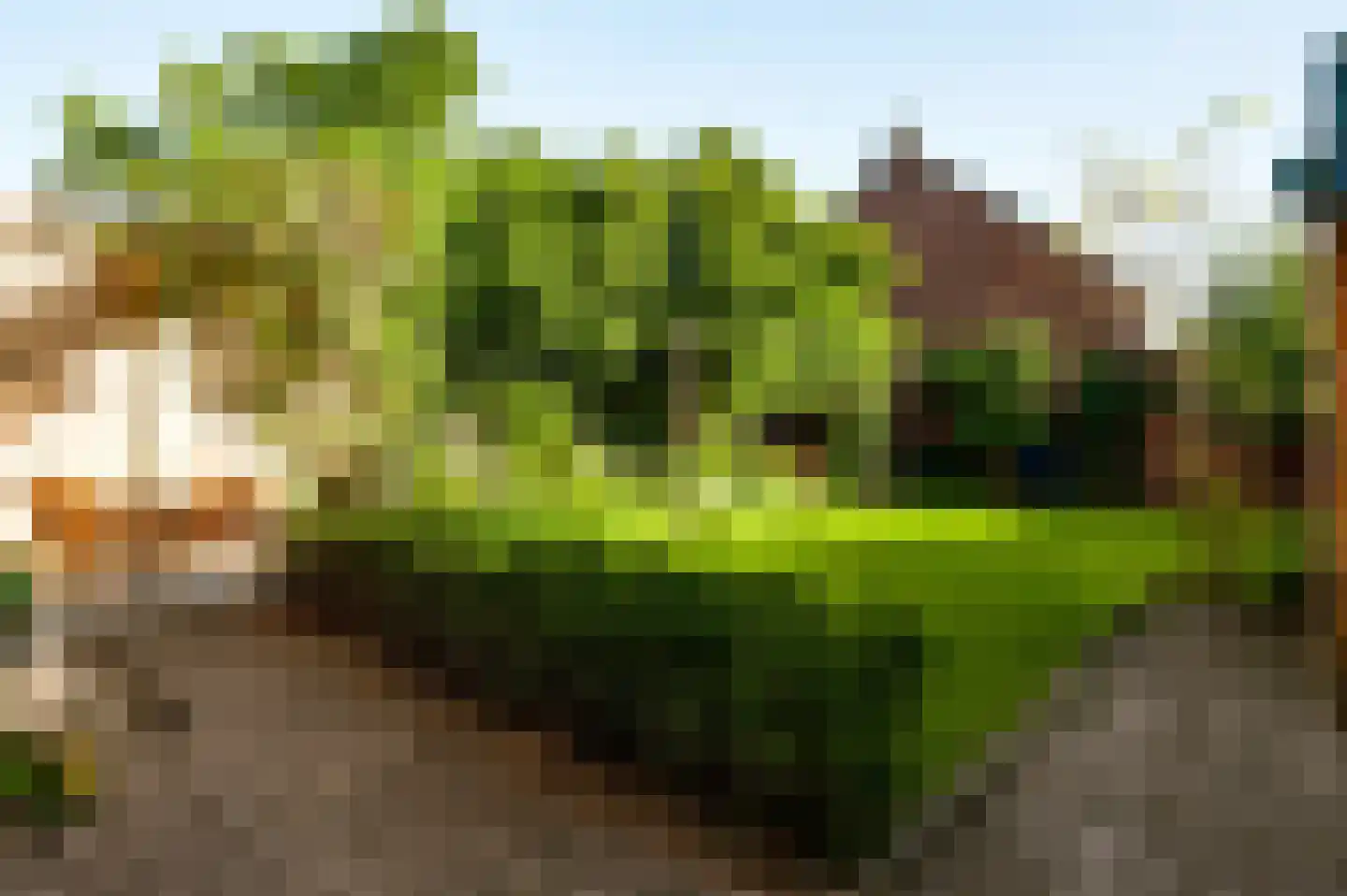 Doolgaardstraat 16 Horst thumbnail 29