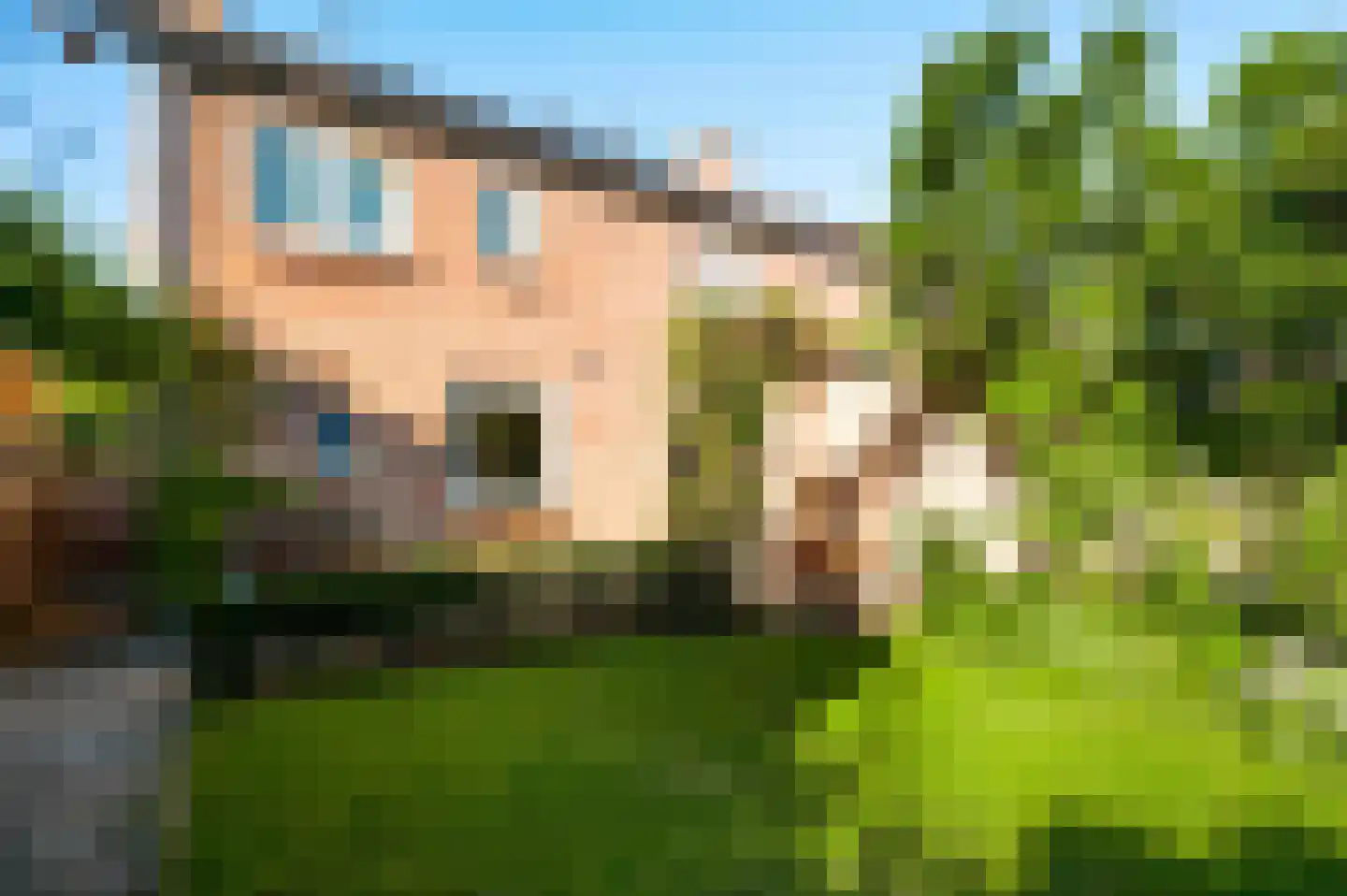 Doolgaardstraat 16 Horst thumbnail 34