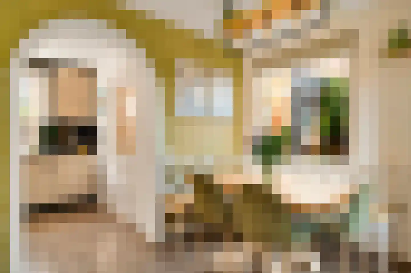 Doolgaardstraat 16 Horst thumbnail 5