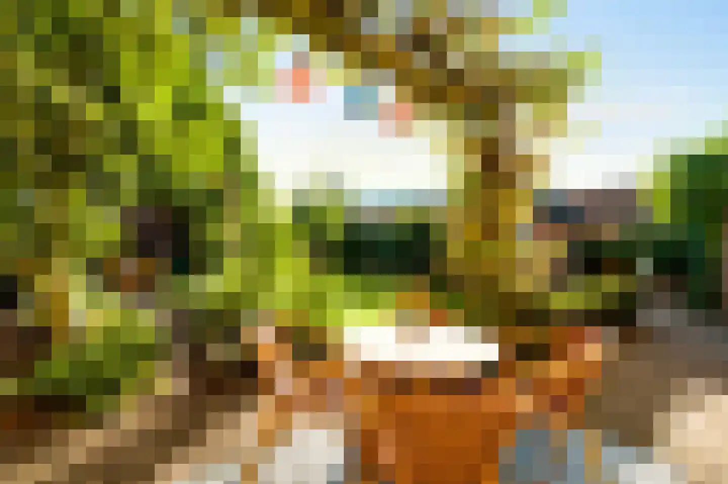 Doolgaardstraat 16 Horst thumbnail 6