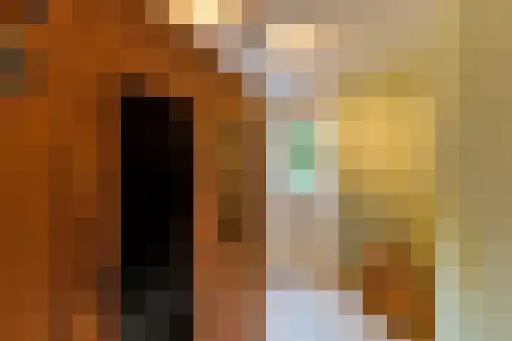 Doolgaardstraat 4 Horst thumbnail 17