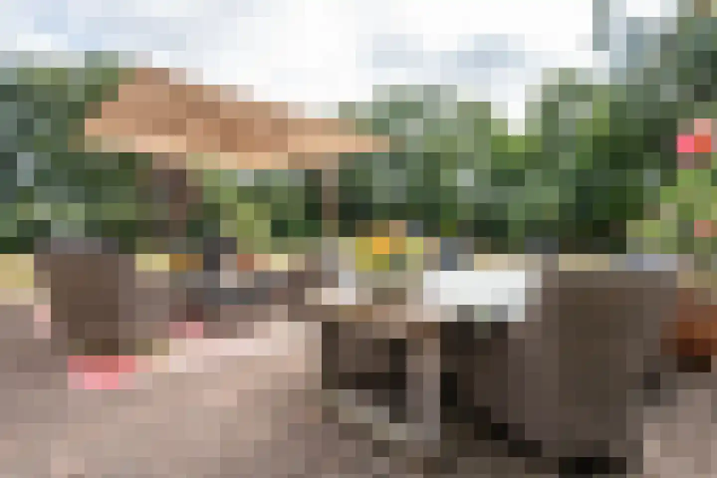 Doolhof 3 Oudeschild thumbnail 101