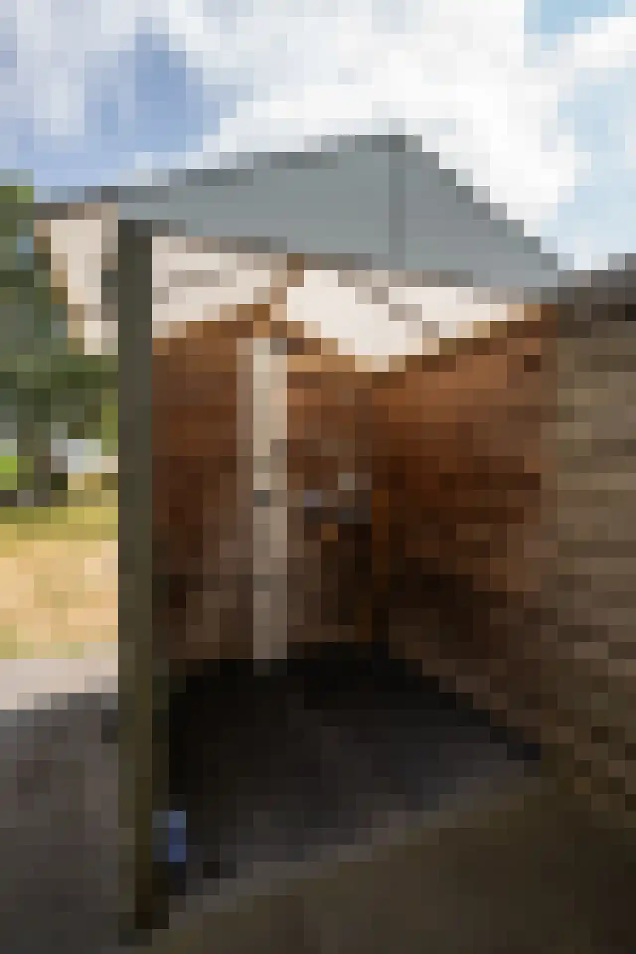 Doolhof 3 Oudeschild thumbnail 107