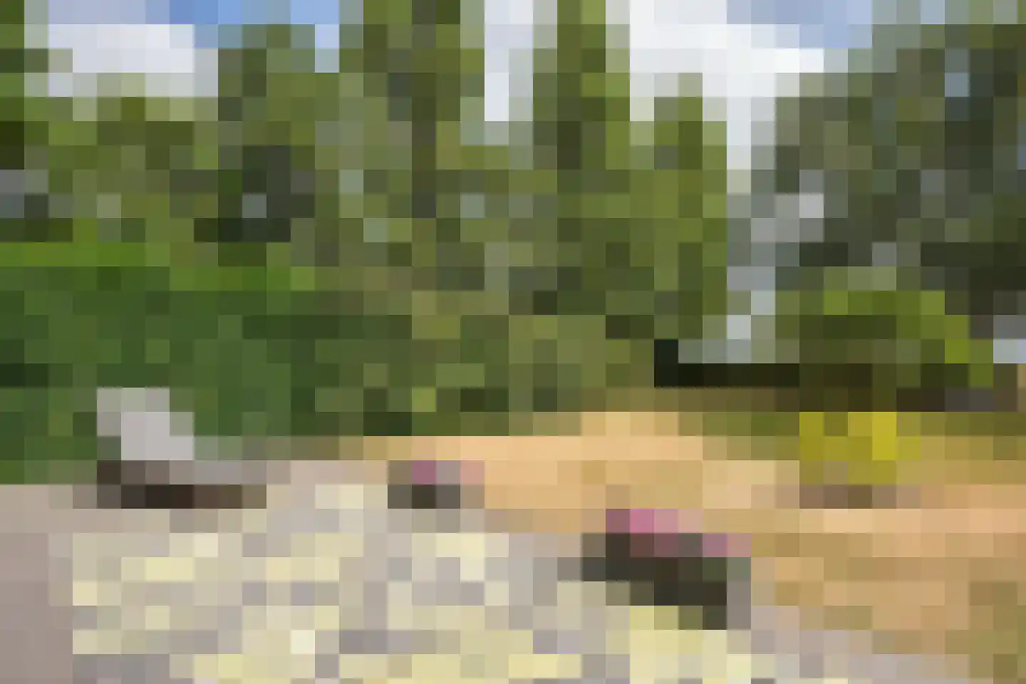 Doolhof 3 Oudeschild thumbnail 109