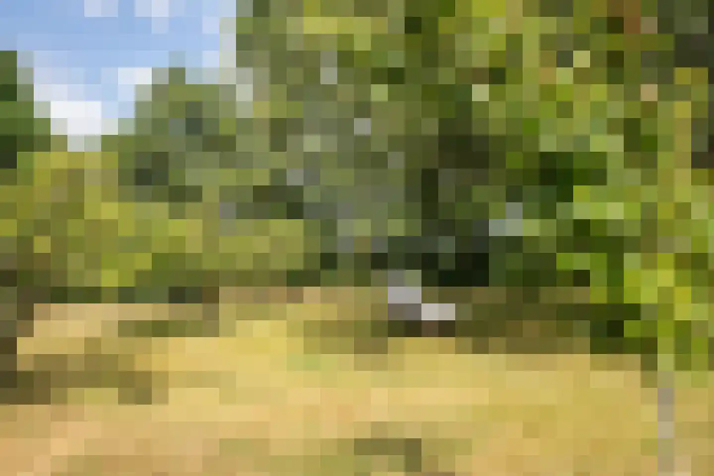 Doolhof 3 Oudeschild thumbnail 111