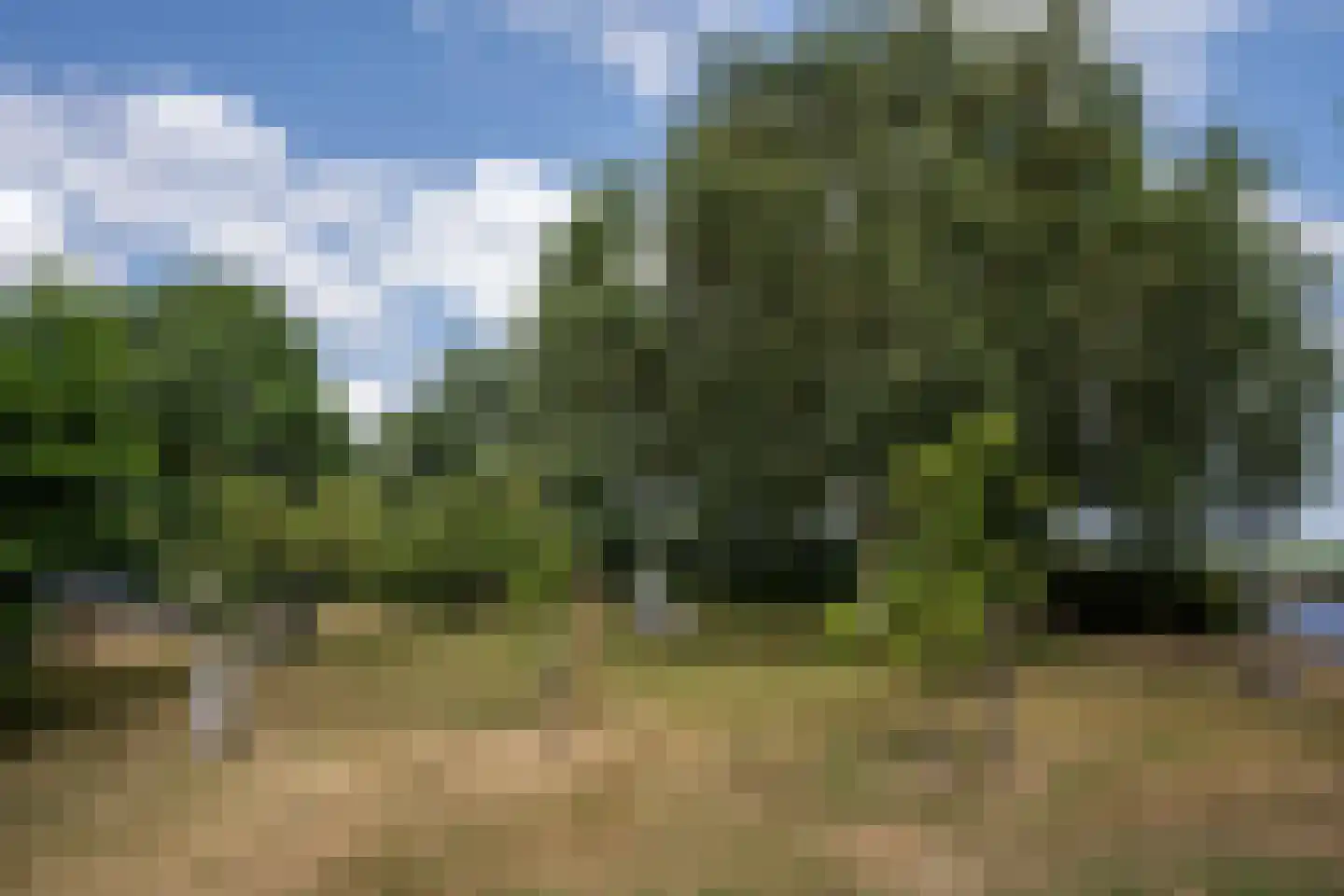 Doolhof 3 Oudeschild thumbnail 112