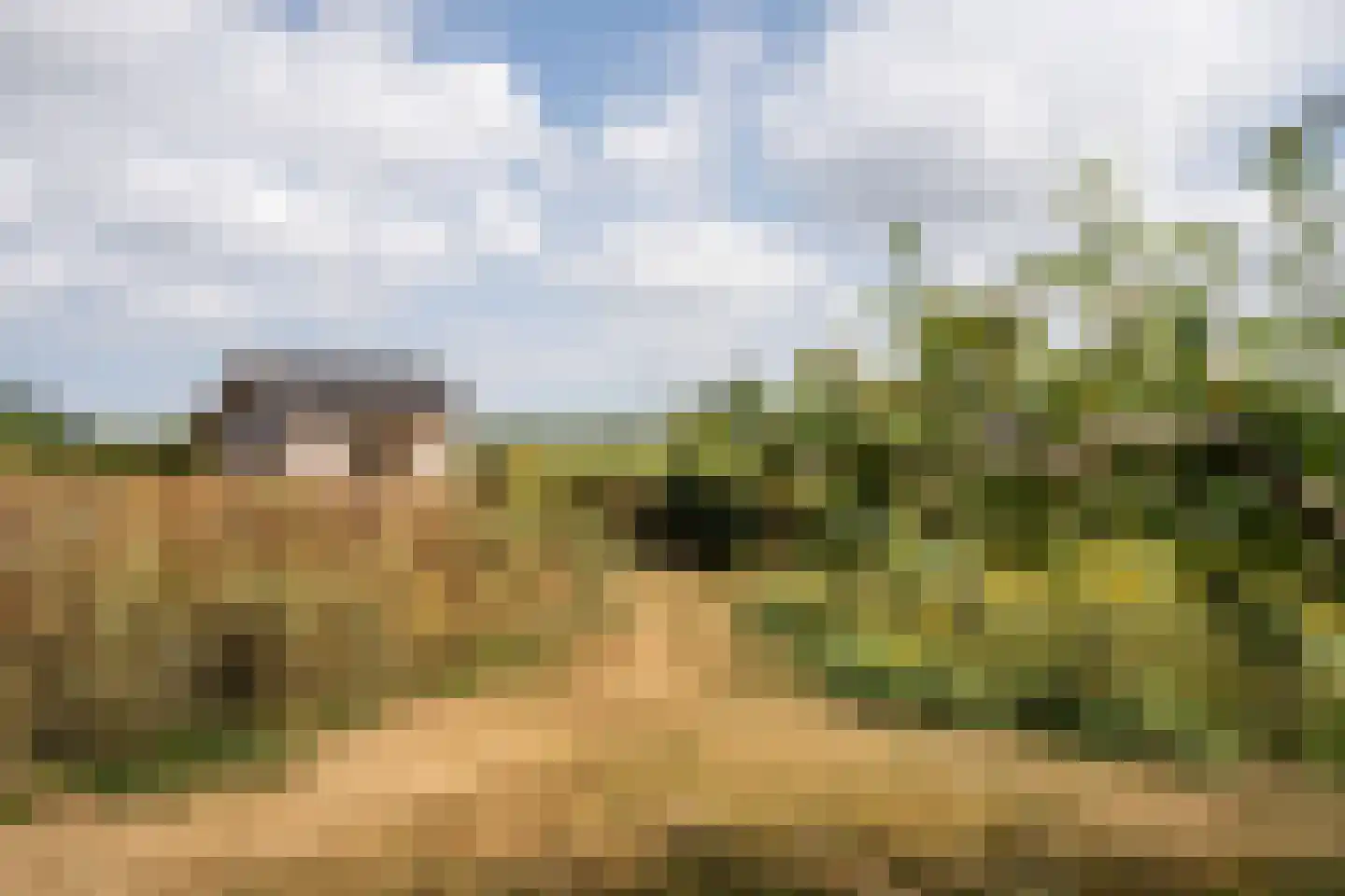 Doolhof 3 Oudeschild thumbnail 114