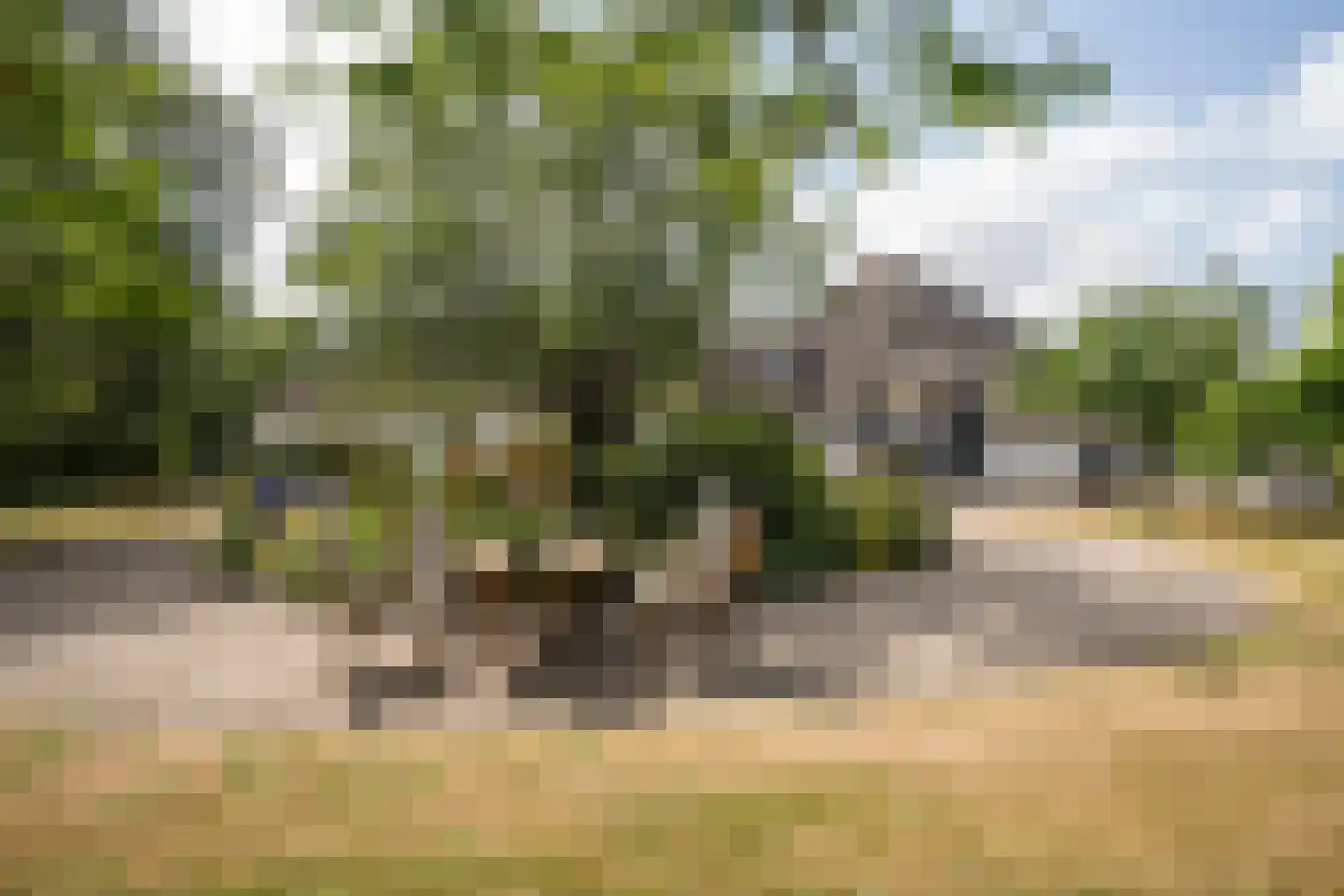 Doolhof 3 Oudeschild thumbnail 116