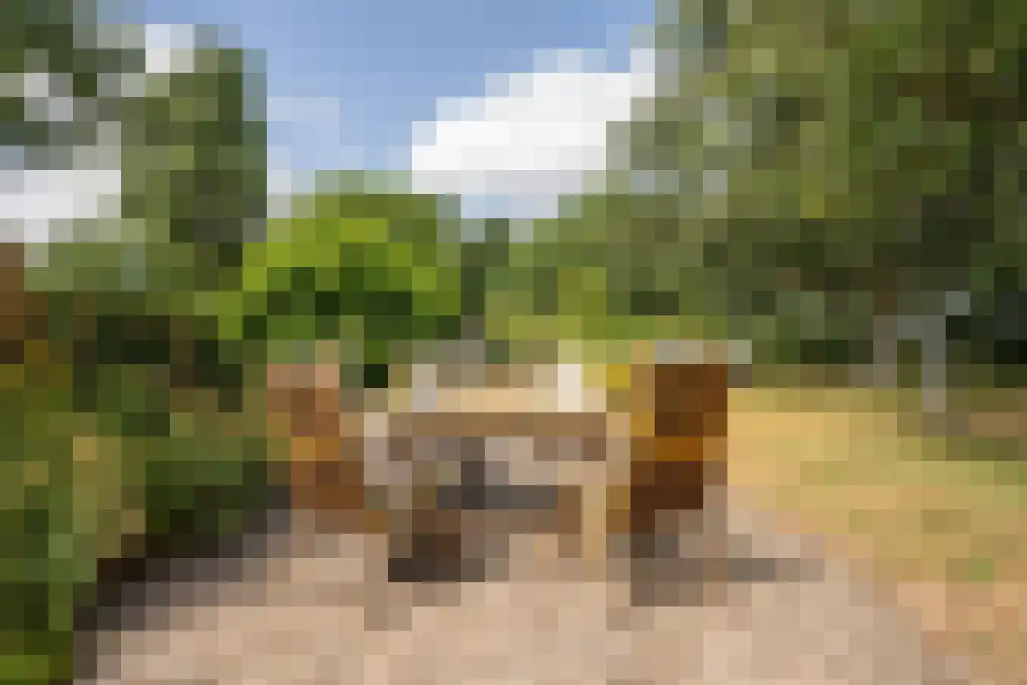 Doolhof 3 Oudeschild thumbnail 117
