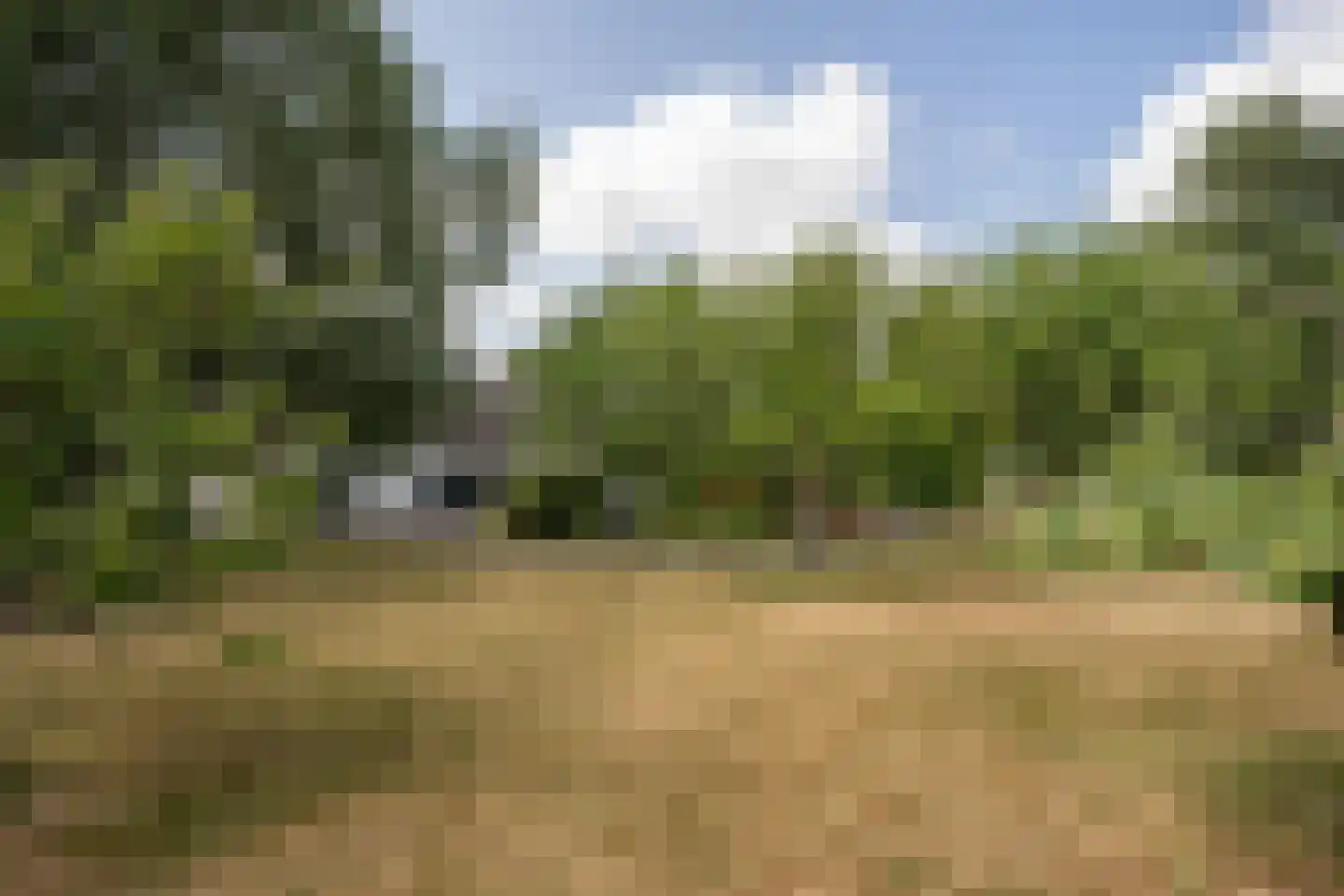 Doolhof 3 Oudeschild thumbnail 118