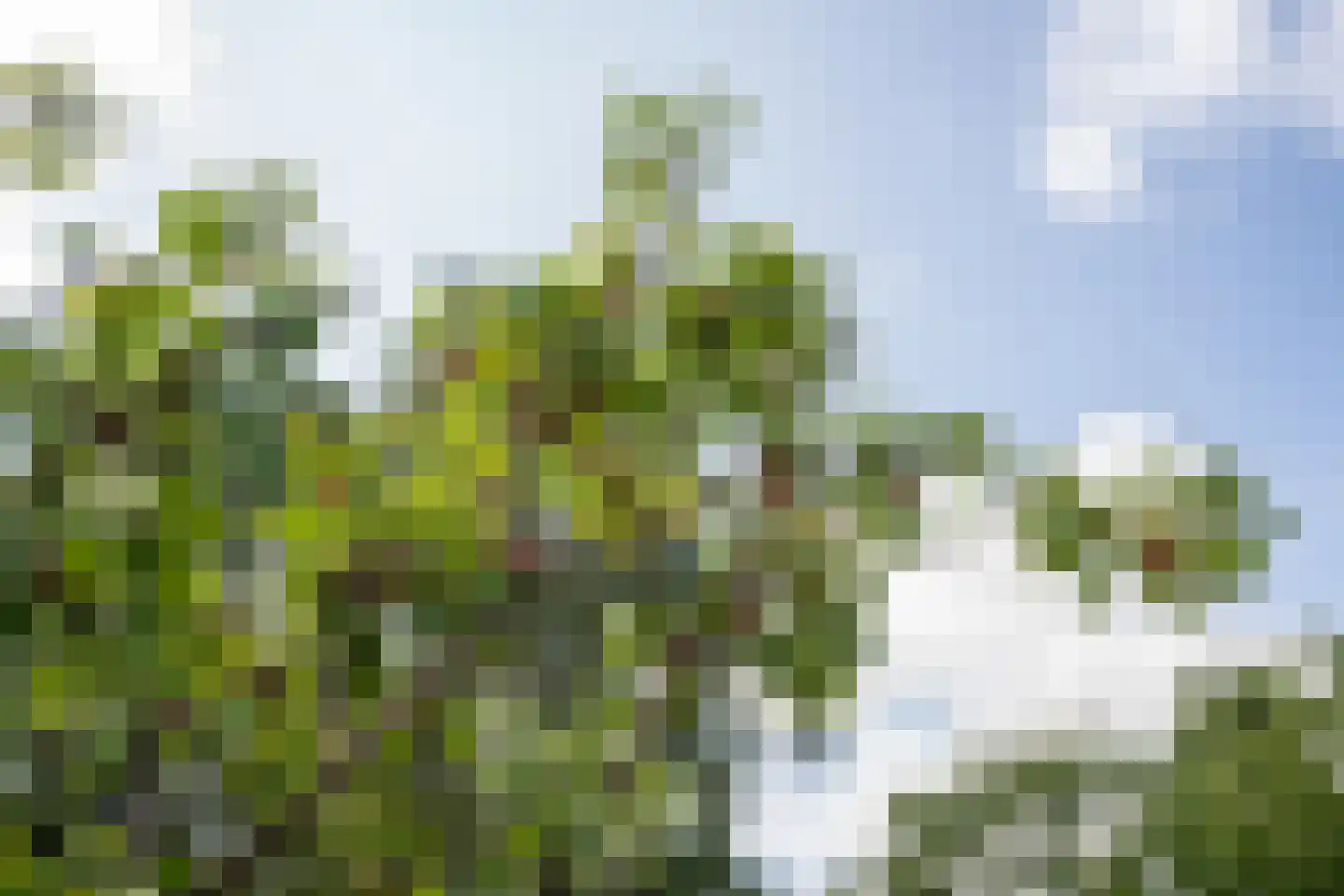 Doolhof 3 Oudeschild thumbnail 119