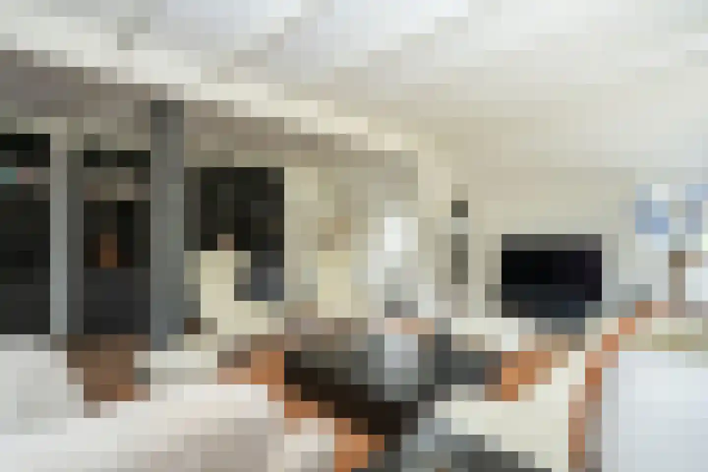 Doolhof 3 Oudeschild thumbnail 12