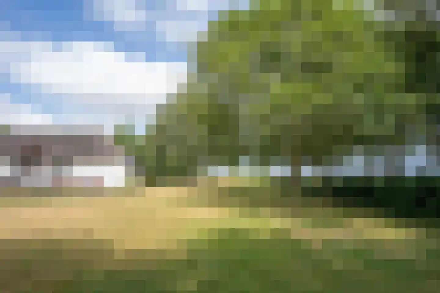 Doolhof 3 Oudeschild thumbnail 124