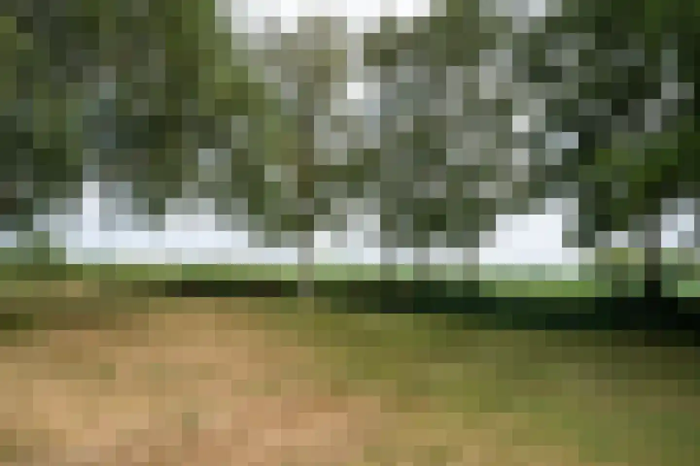 Doolhof 3 Oudeschild thumbnail 128