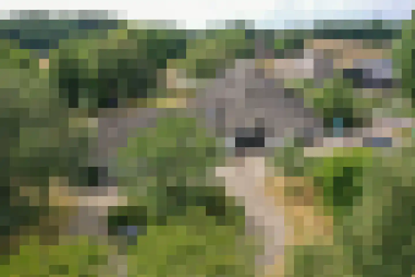Doolhof 3 Oudeschild thumbnail 133
