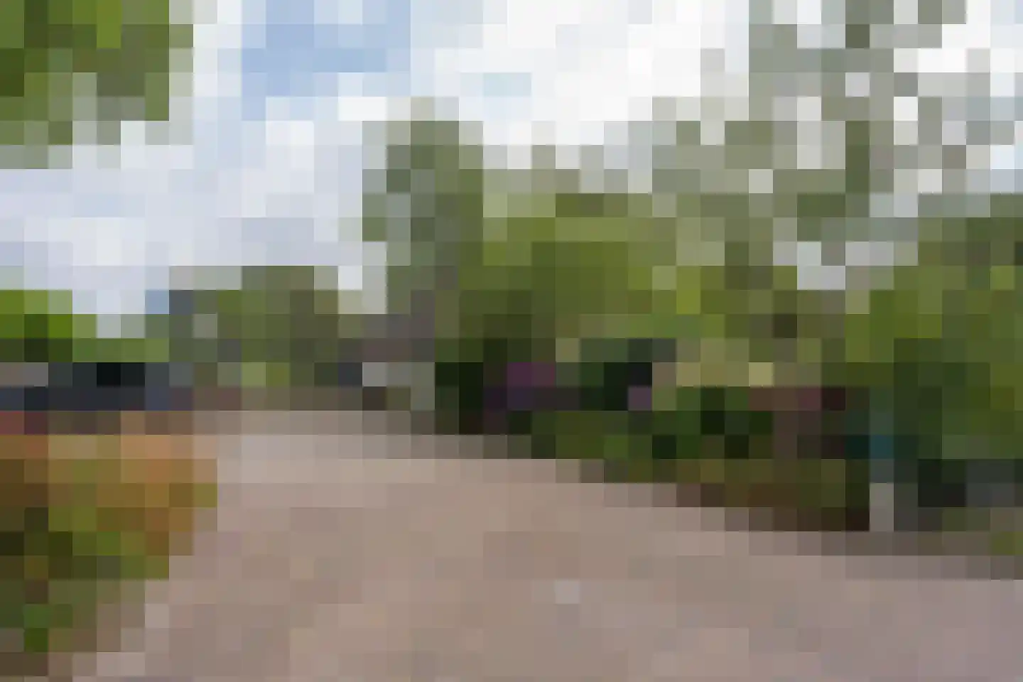 Doolhof 3 Oudeschild thumbnail 138
