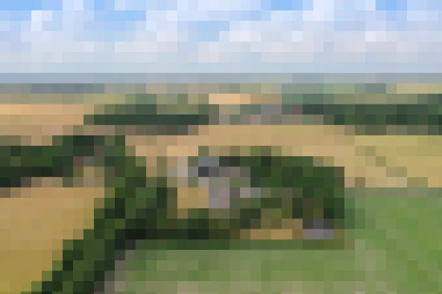Doolhof 3 Oudeschild thumbnail 141