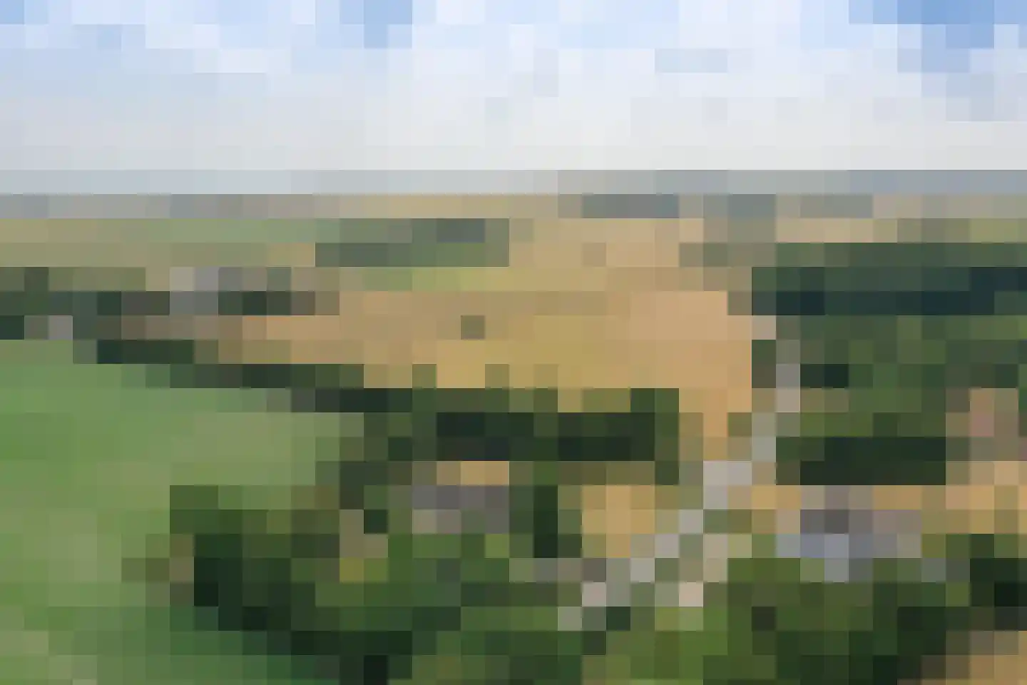 Doolhof 3 Oudeschild thumbnail 142