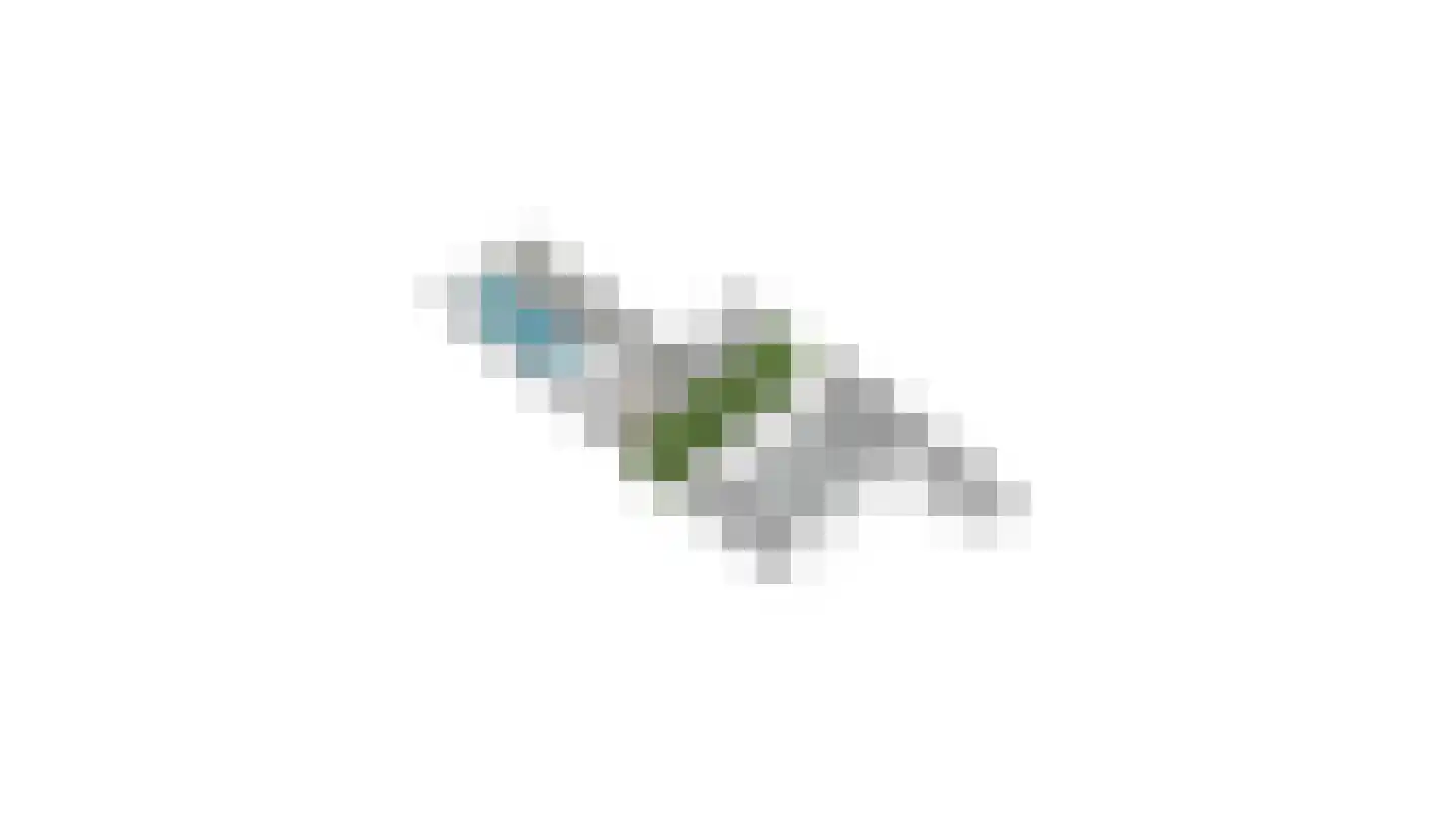 Doolhof 3 Oudeschild thumbnail 151