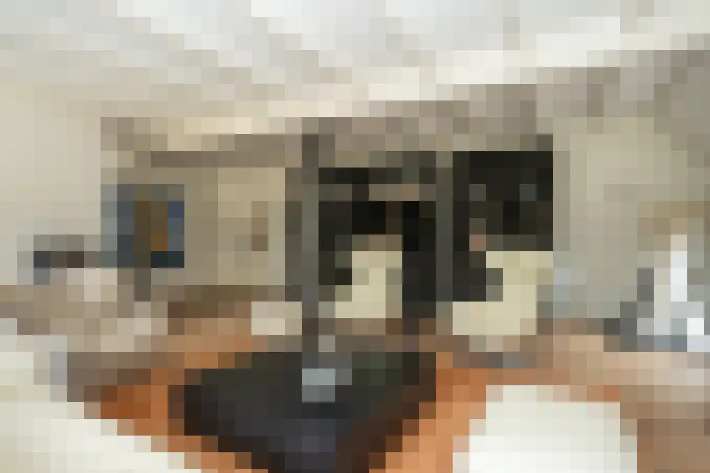 Doolhof 3 Oudeschild thumbnail 16