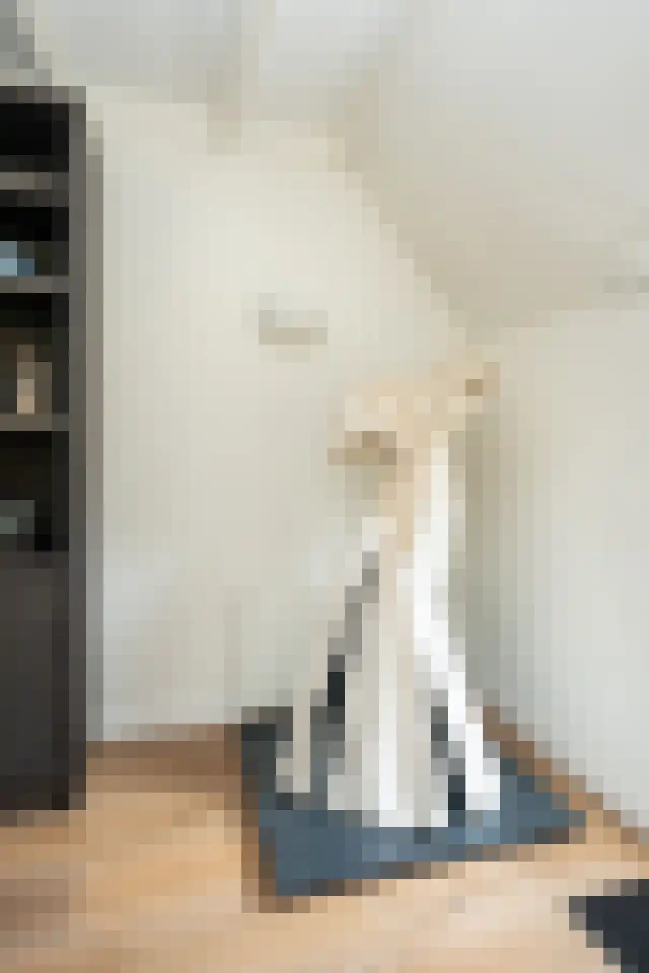 Doolhof 3 Oudeschild thumbnail 17