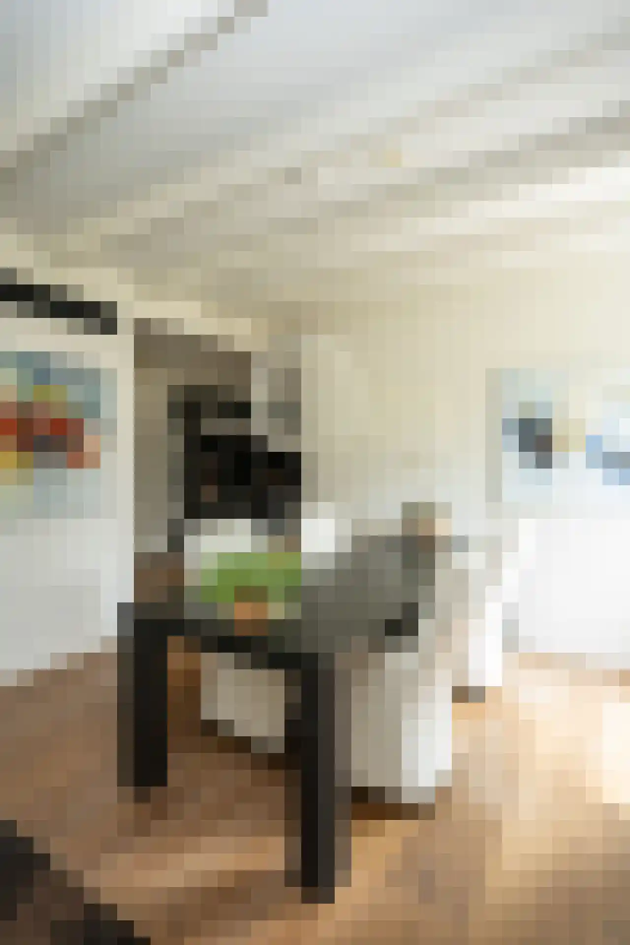 Doolhof 3 Oudeschild thumbnail 21