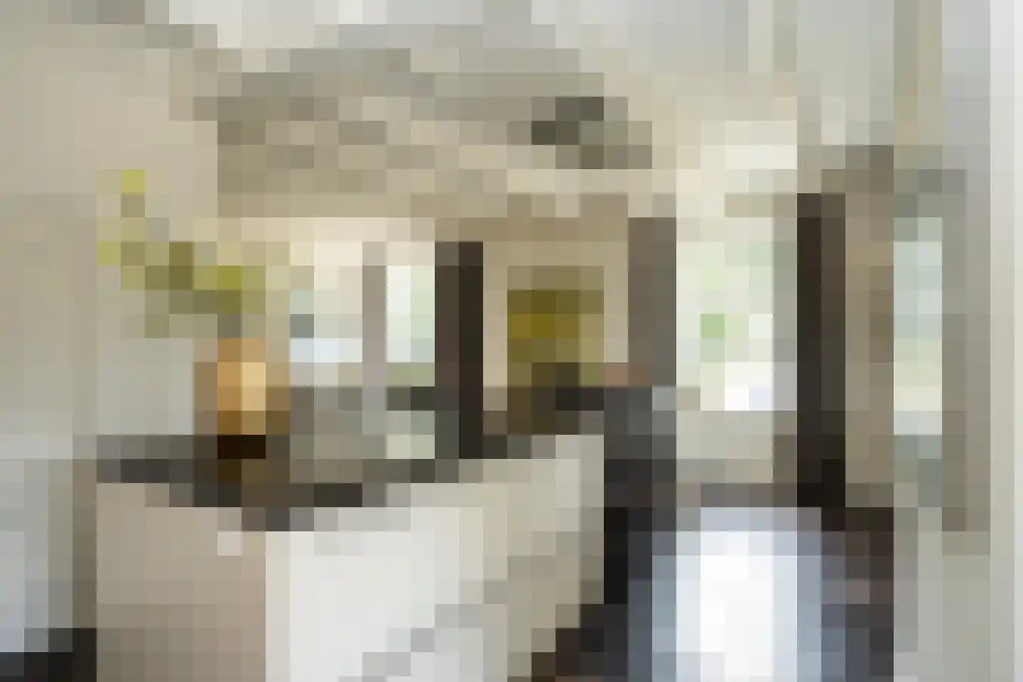 Doolhof 3 Oudeschild thumbnail 23
