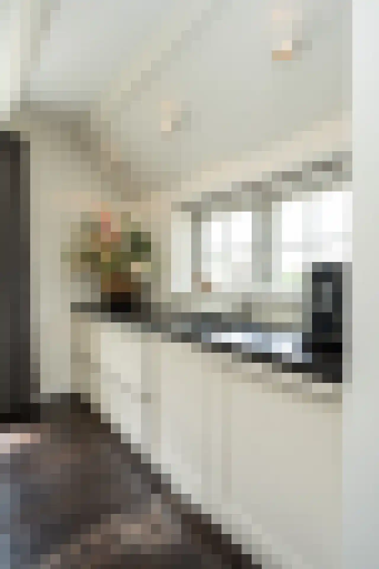 Doolhof 3 Oudeschild thumbnail 25