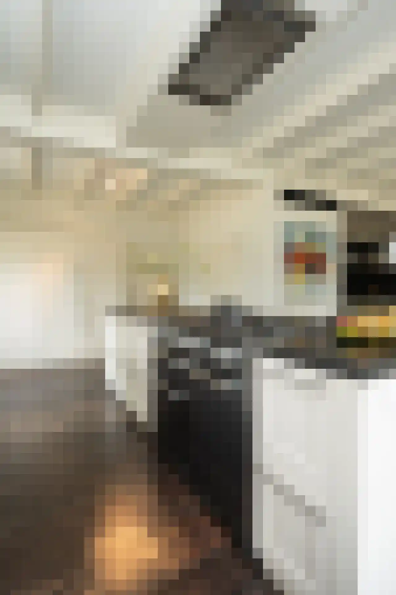Doolhof 3 Oudeschild thumbnail 26