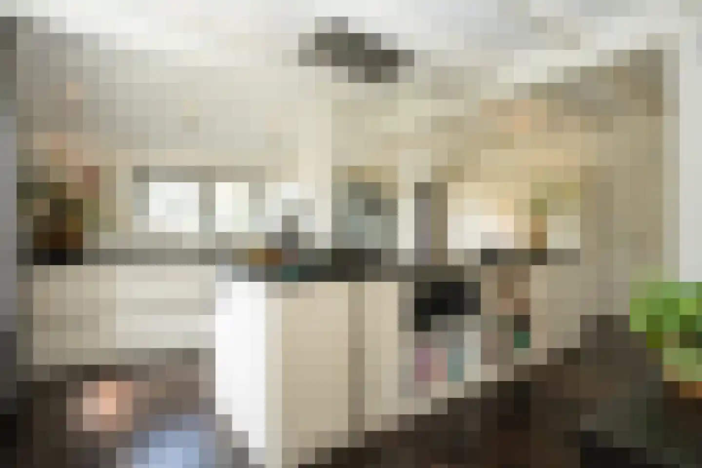 Doolhof 3 Oudeschild thumbnail 27