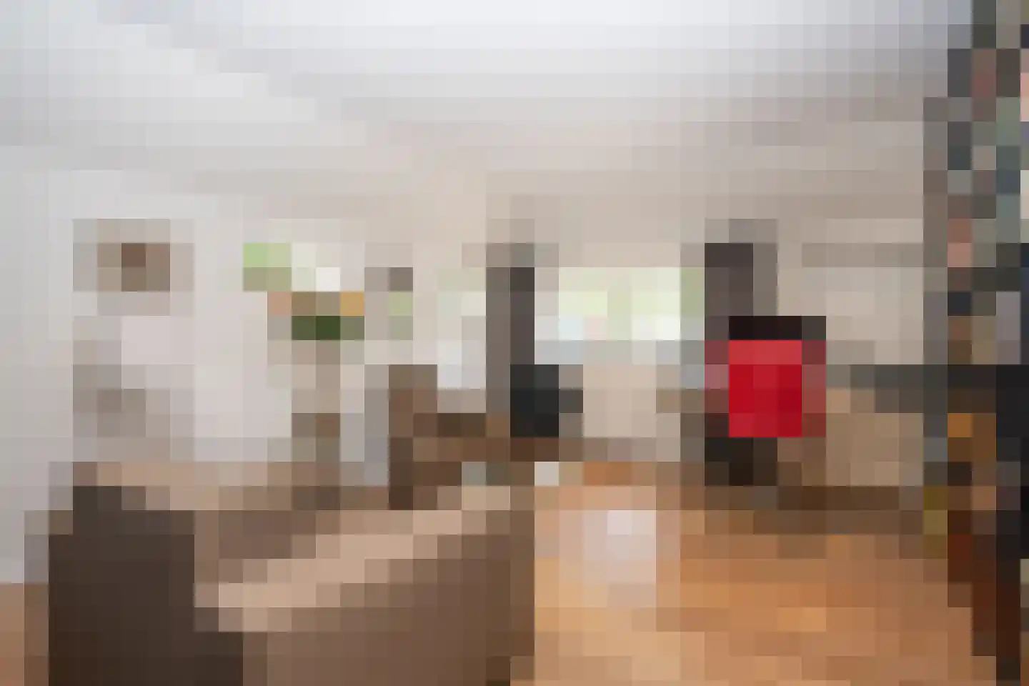 Doolhof 3 Oudeschild thumbnail 31