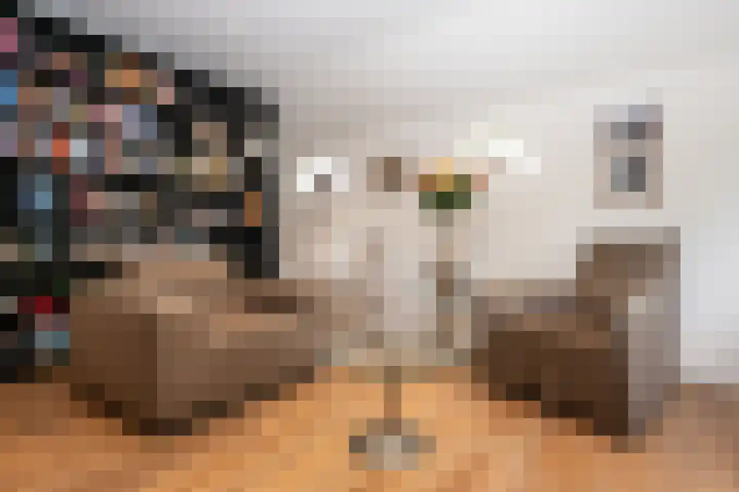 Doolhof 3 Oudeschild thumbnail 33