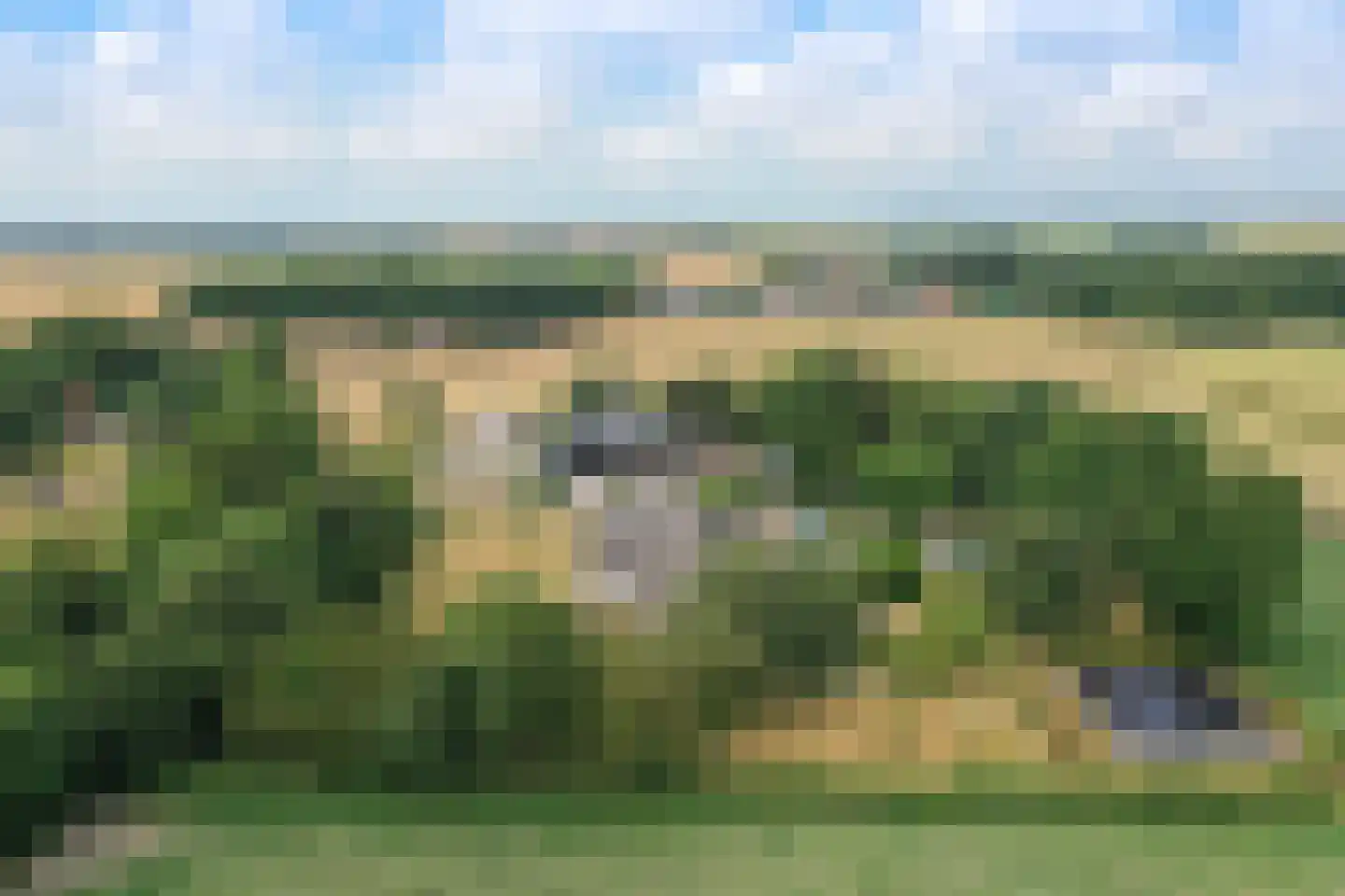 Doolhof 3 Oudeschild thumbnail 4