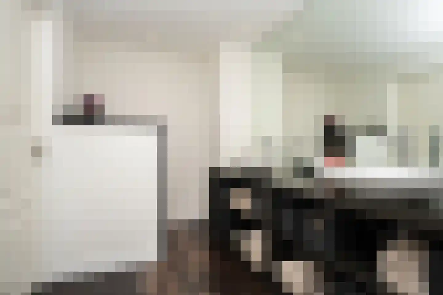 Doolhof 3 Oudeschild thumbnail 46