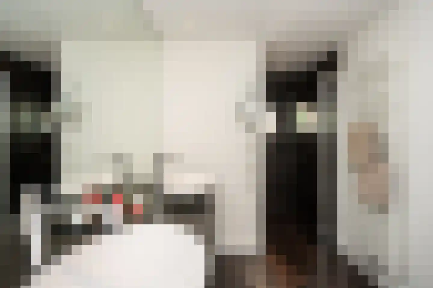 Doolhof 3 Oudeschild thumbnail 47