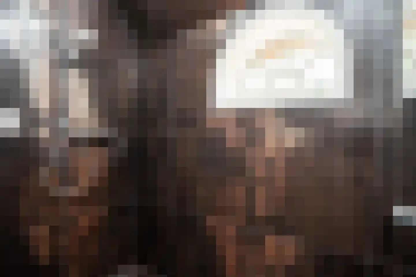 Doolhof 3 Oudeschild thumbnail 49