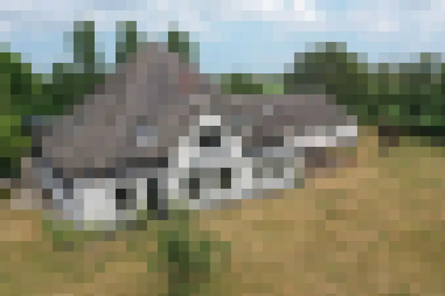 Doolhof 3 Oudeschild thumbnail 5