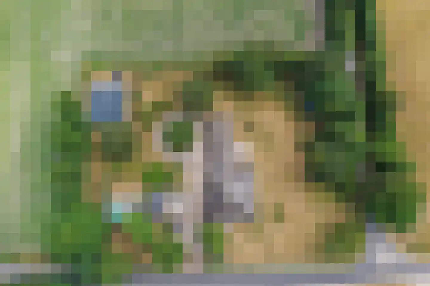 Doolhof 3 Oudeschild thumbnail 5