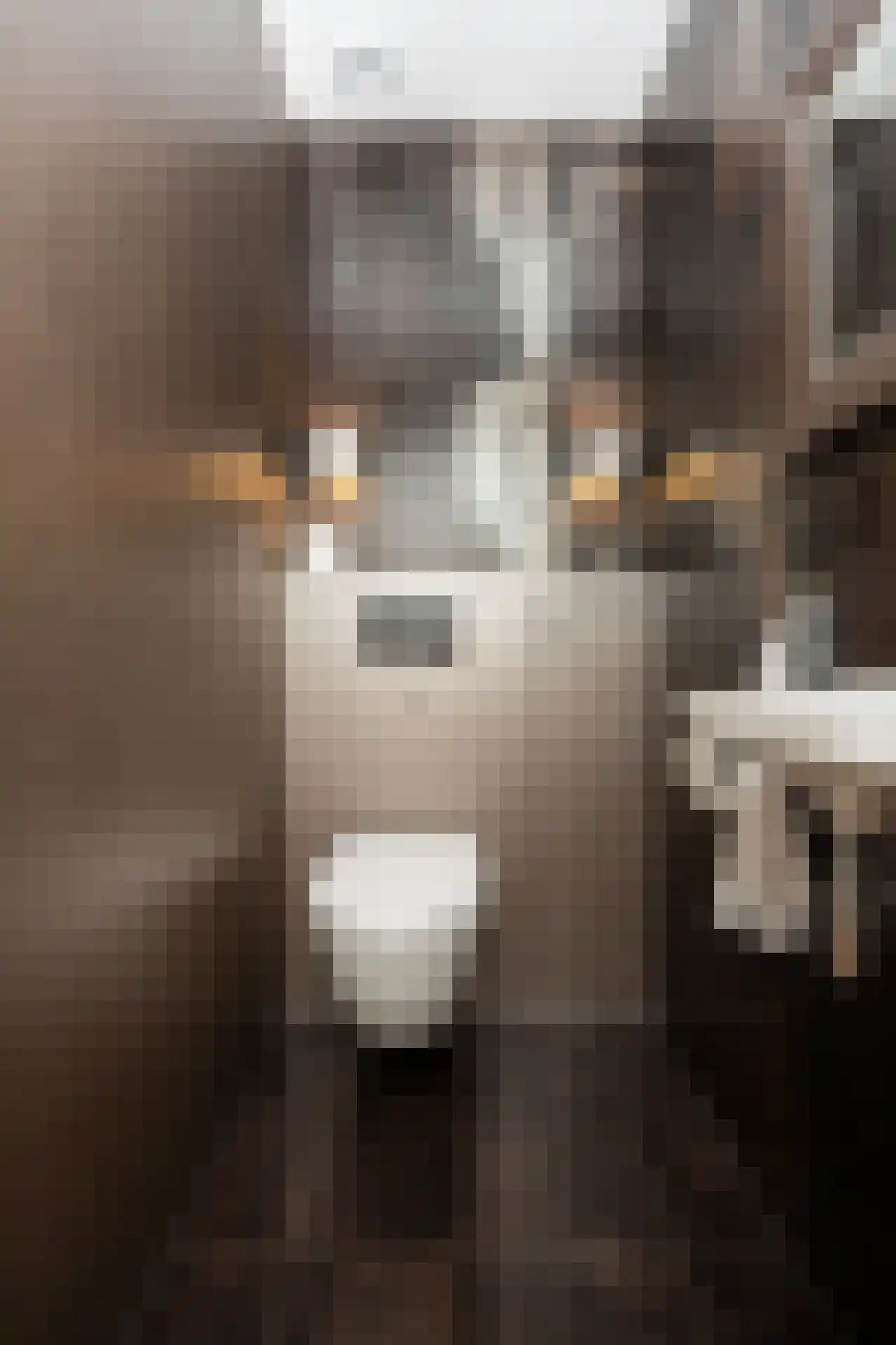 Doolhof 3 Oudeschild thumbnail 51