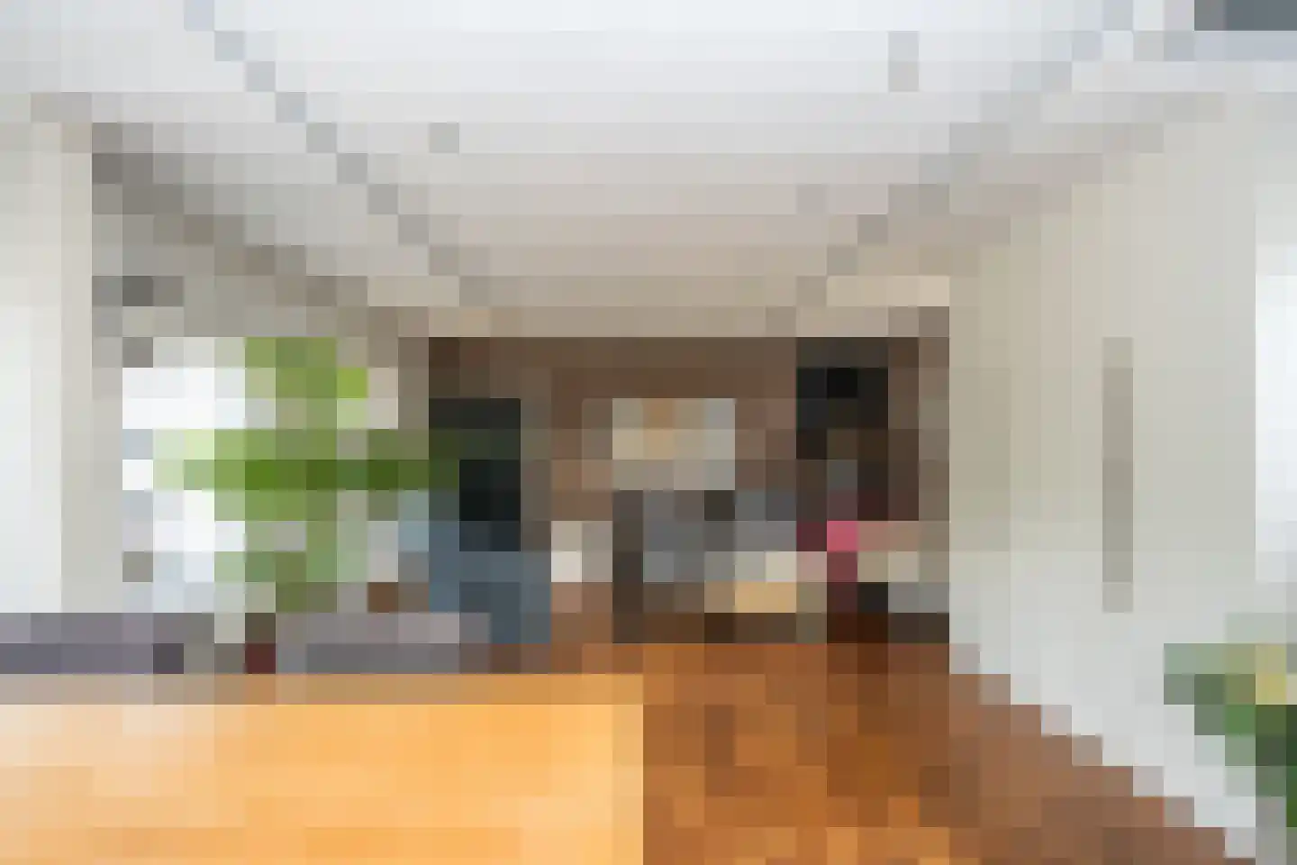 Doolhof 3 Oudeschild thumbnail 55
