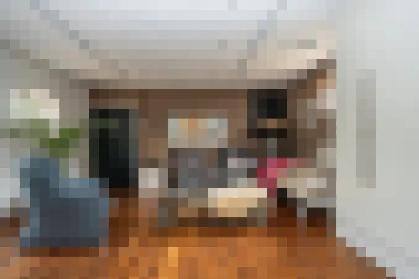 Doolhof 3 Oudeschild thumbnail 56