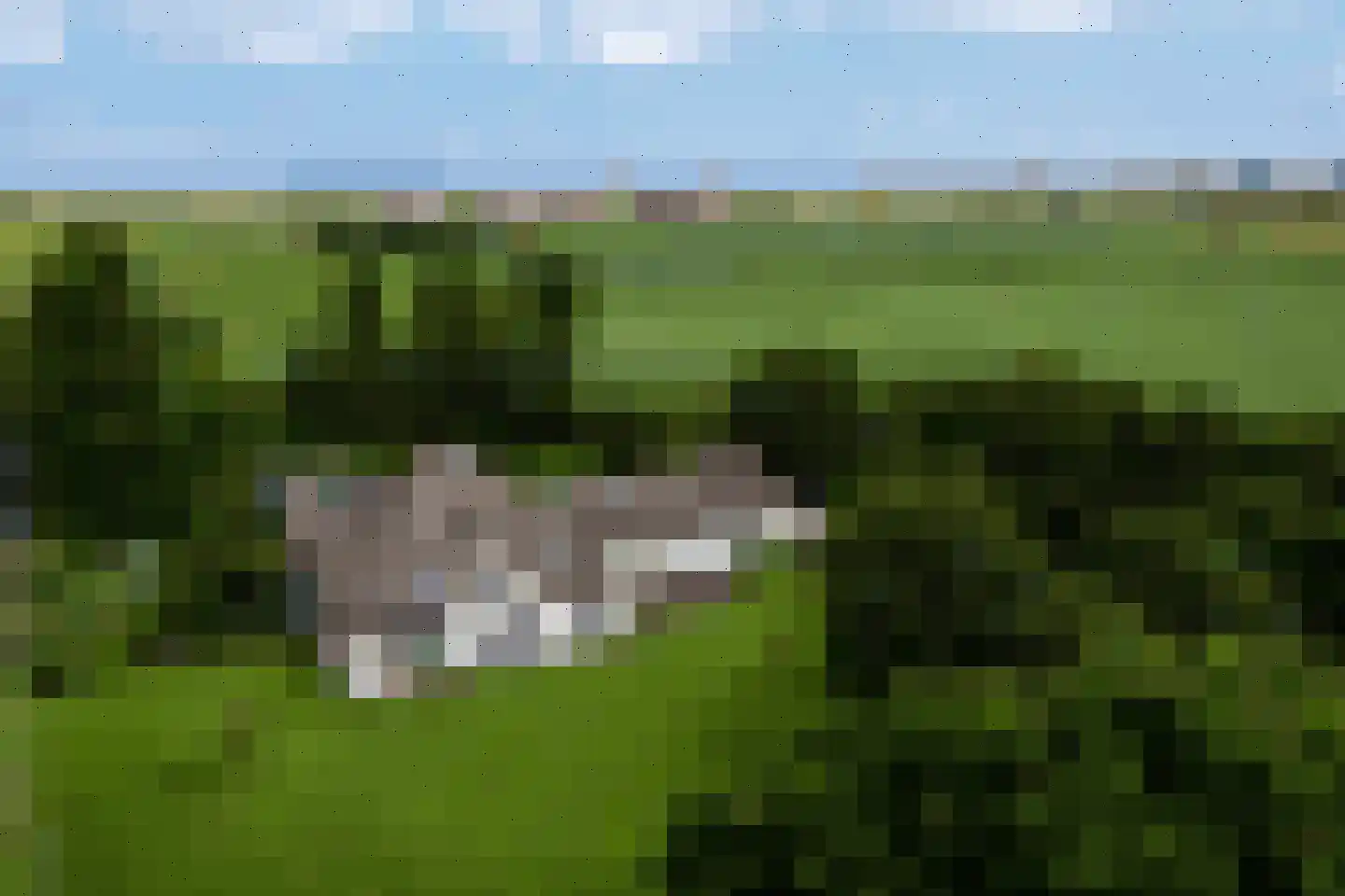 Doolhof 3 Oudeschild thumbnail 6