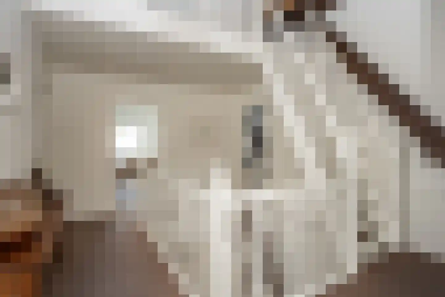 Doolhof 3 Oudeschild thumbnail 63