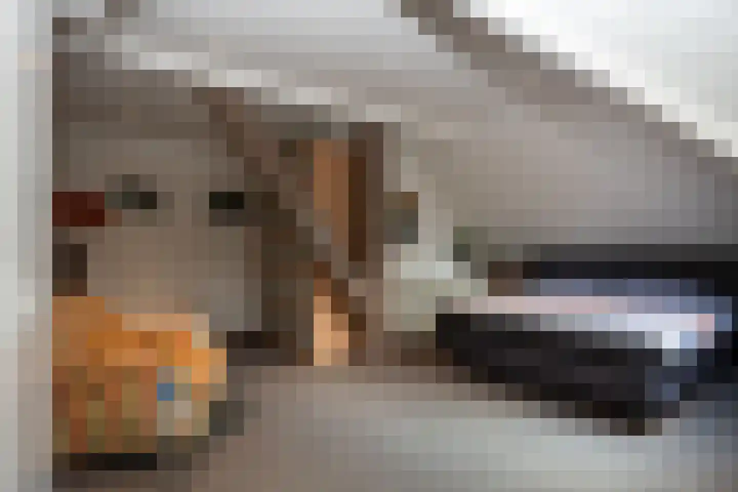 Doolhof 3 Oudeschild thumbnail 68