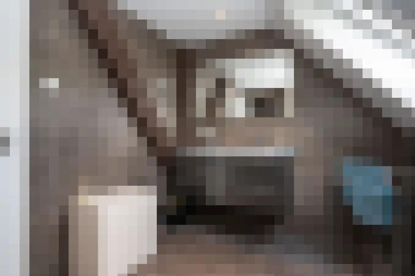 Doolhof 3 Oudeschild thumbnail 74