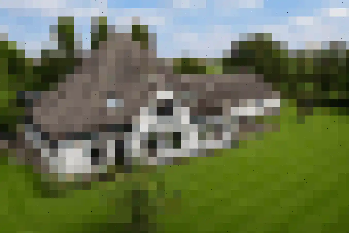 Doolhof 3 Oudeschild thumbnail 8